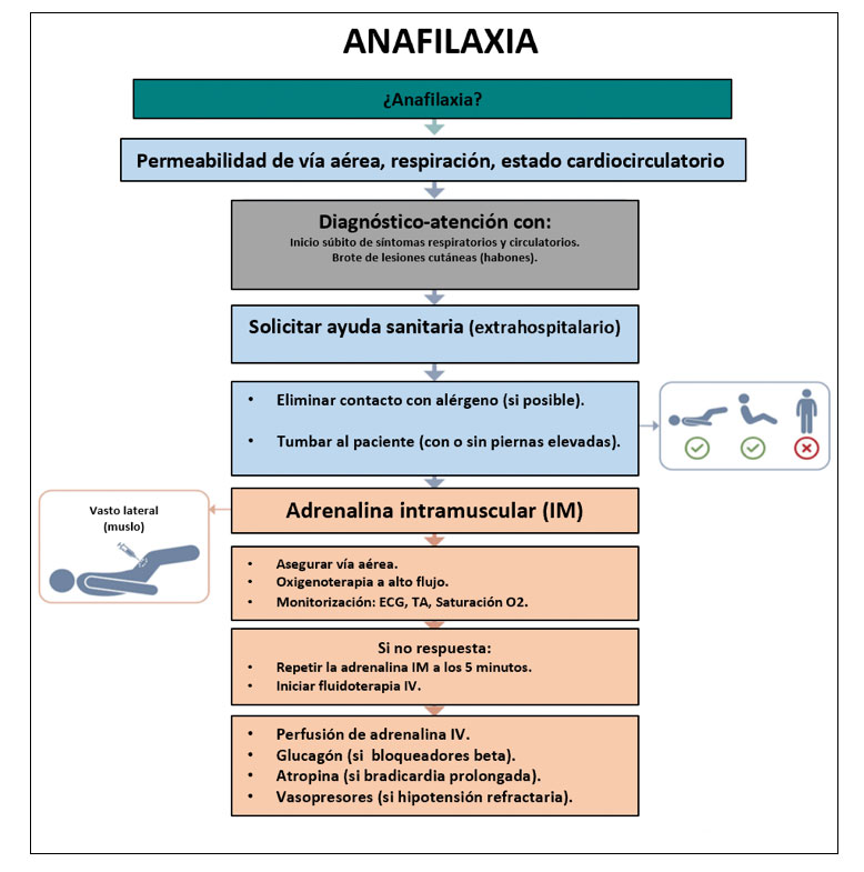 protocolo de atención urgencias anafilaxia